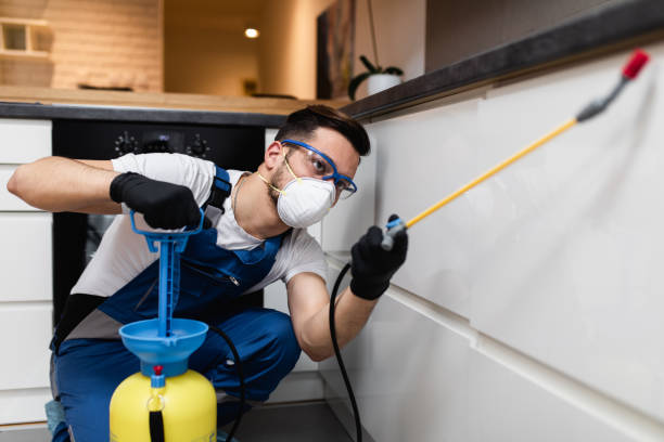 Best Emergency Pest Control  in Hlsboro, IL