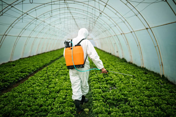Best Mosquito Control Services  in Hlsboro, IL