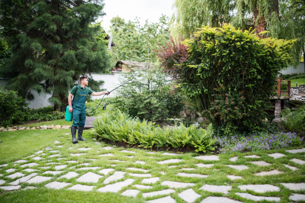 Best Pest Inspection Near Me  in Hlsboro, IL