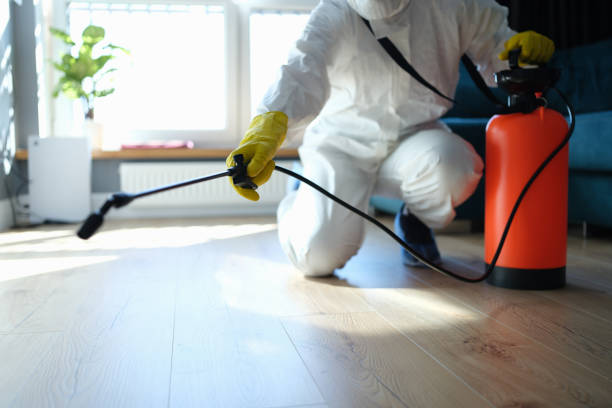 Best Affordable Pest Control Services  in Hlsboro, IL
