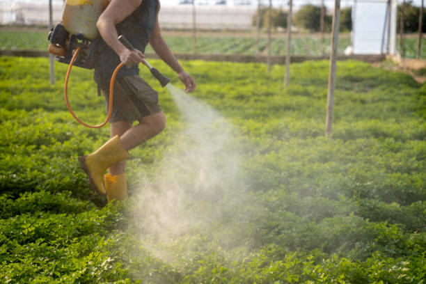 Best Wildlife Control Services  in Hlsboro, IL