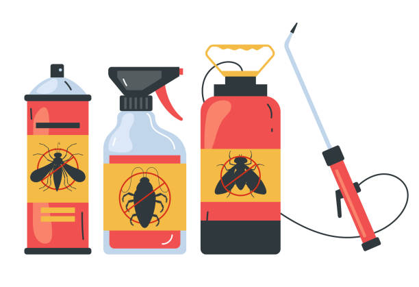 Best Local Pest Control Services  in Hlsboro, IL