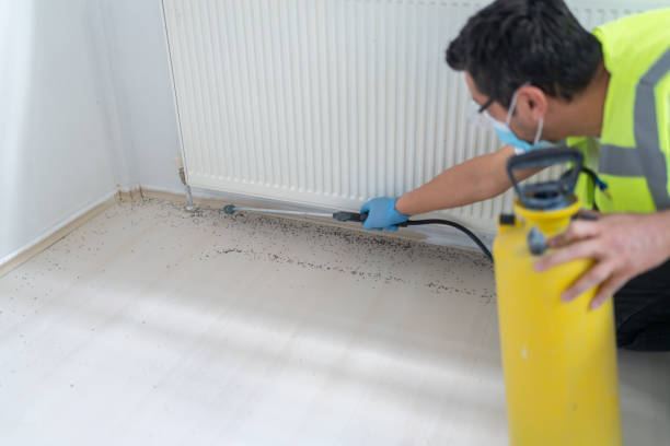 Best Cockroach Control Services  in Hlsboro, IL